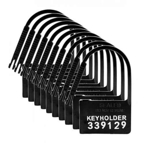 Master Series Keyholder Kuisheidskooi Hangslotjes - 10 Stuks 1 Master Series Keyholder Kuisheidskooi Hangslotjes - 10 Stuks