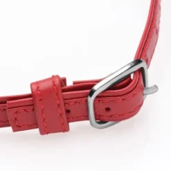Master Series Heart Lock - Collar Met Sleutels - Rood -Seksspeeltjeswinkel AG762 Red 3