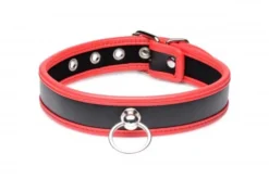 Master Series Opvallende Collar Met O-ring - Zwart/Rood