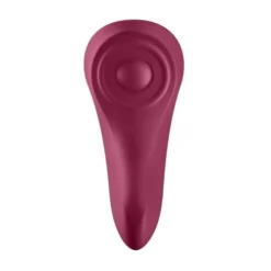 Satisfyer Sexy Secret Panty Vibrator App Controlled -Seksspeeltjeswinkel J2018 98 6
