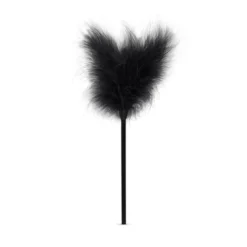 Secret Pleasure Chest - Black Fantasy -Seksspeeltjeswinkel LBX402 11