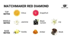 EOL Matchmaker Feromoon Parfum Red Diamond - 30 Ml 6 EOL Matchmaker Feromoon Parfum Red Diamond - 30 Ml -Seksspeeltjeswinkel eol p 44m 3